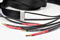 Tellurium Q Ultra Black II, 2.5m pair Speaker Cable 2