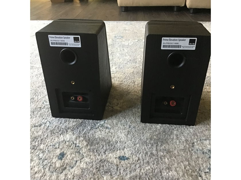 Svs elevation speakers