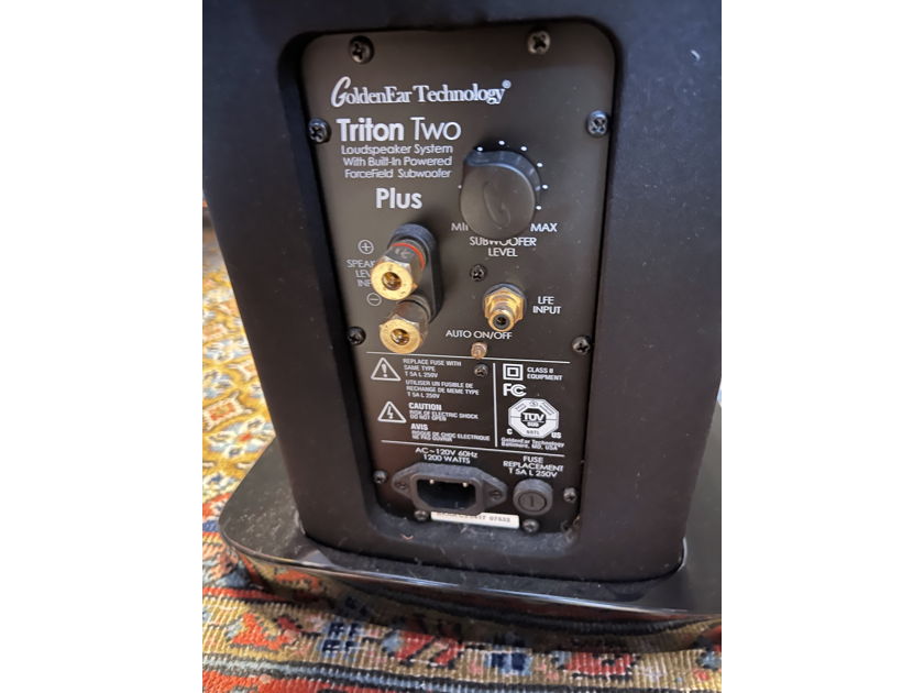 GoldenEar Technology Triton 2+ Speakers