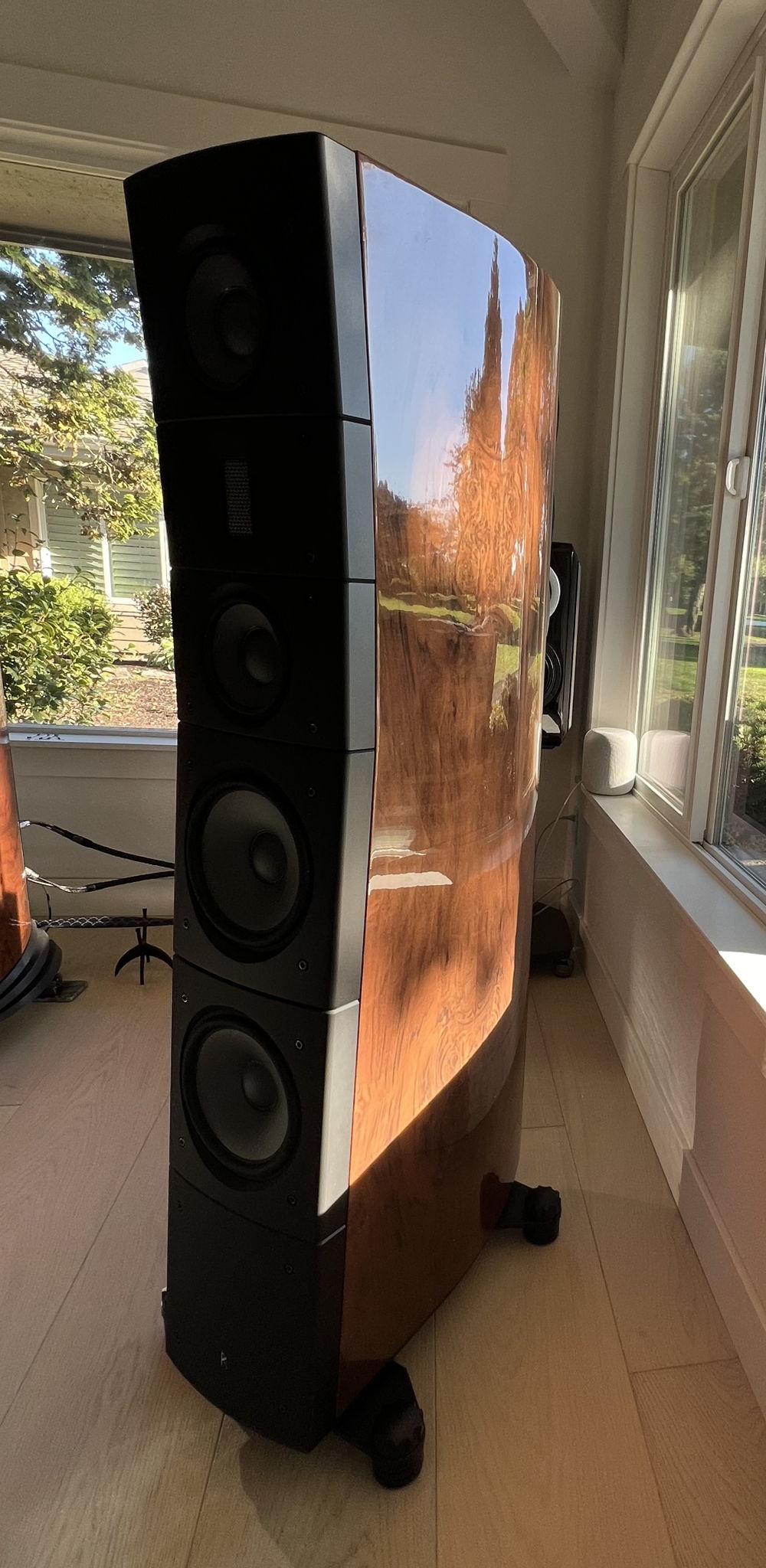 Raidho Acoustics TD 3.8's 3