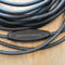 Transparent GEN 5 REF BAL Interconnects, Pre-Owned, 25ft 3