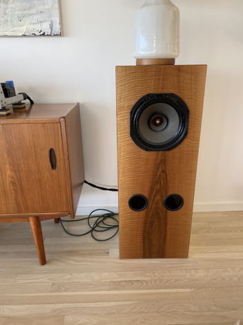 Audio Nirvana Super 10 Alnico Custom Speakers