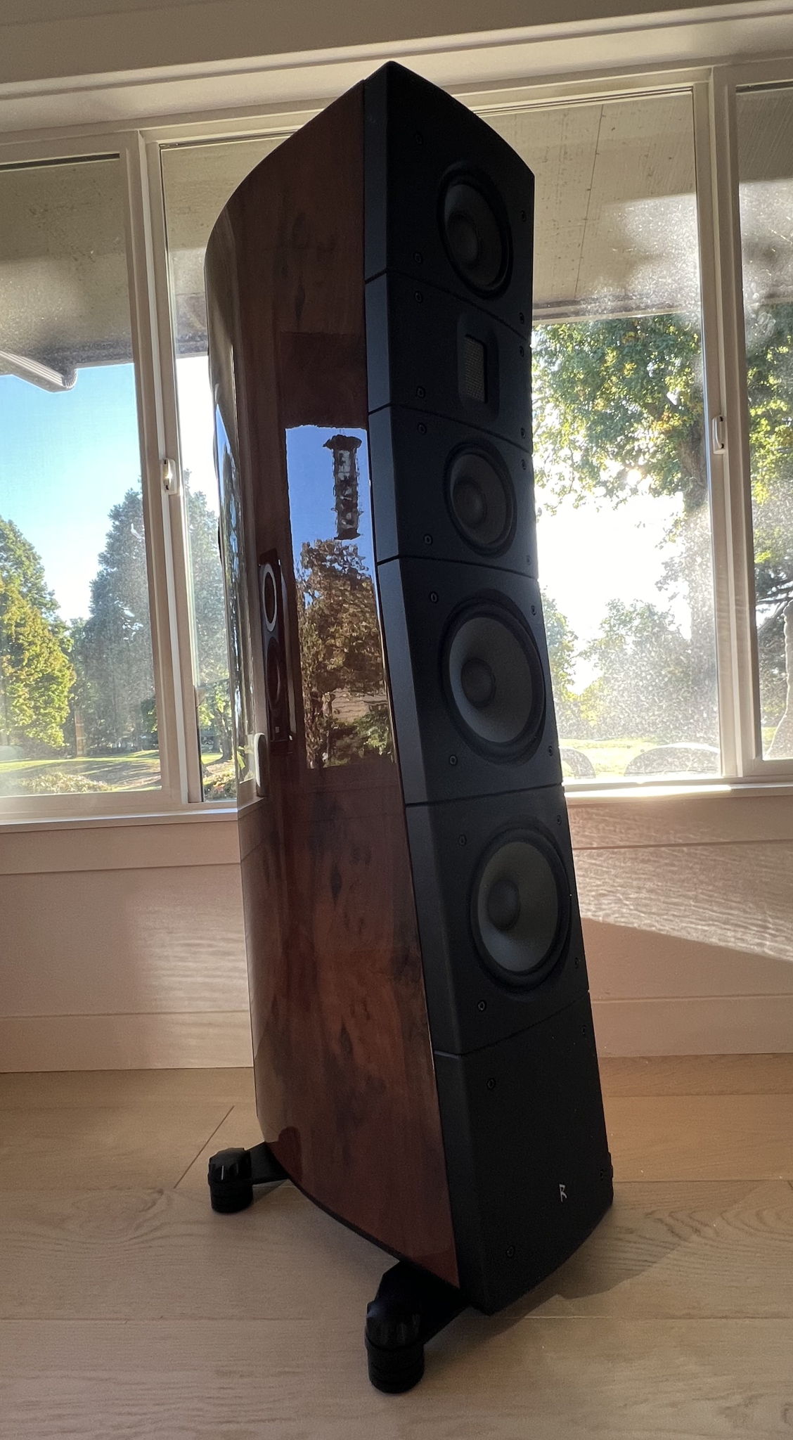 Raidho Acoustics TD 3.8's 5