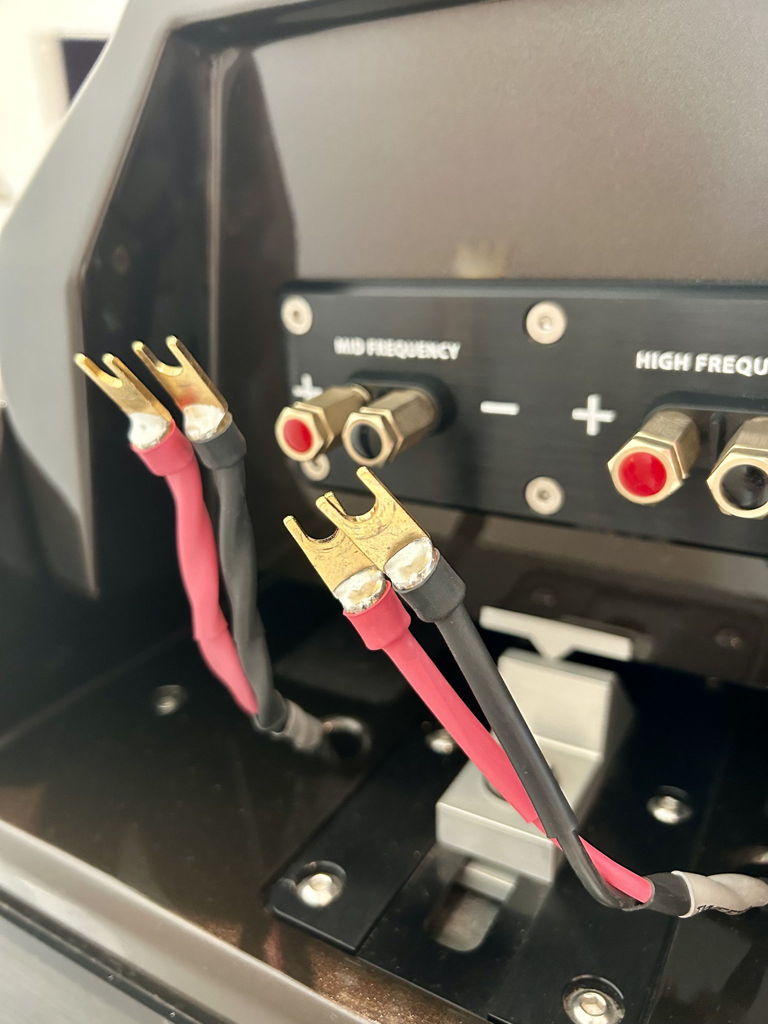 Wilson Audio Sasha 2 - Stunning! 7