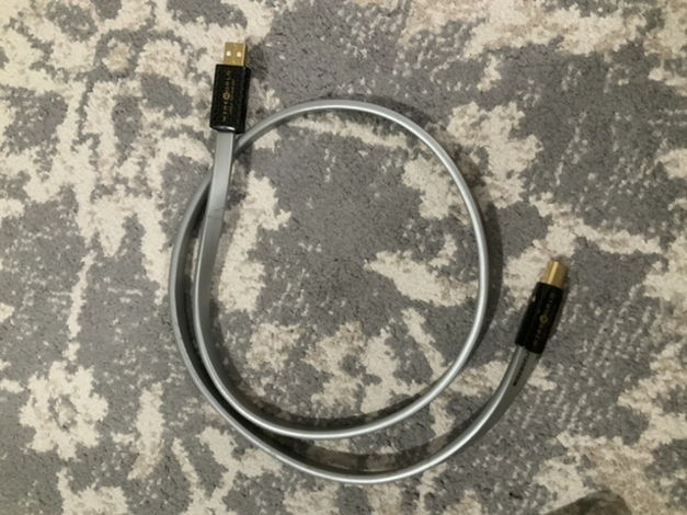 1 m Wireworld Platinum Starlight 6 USB cable for sale