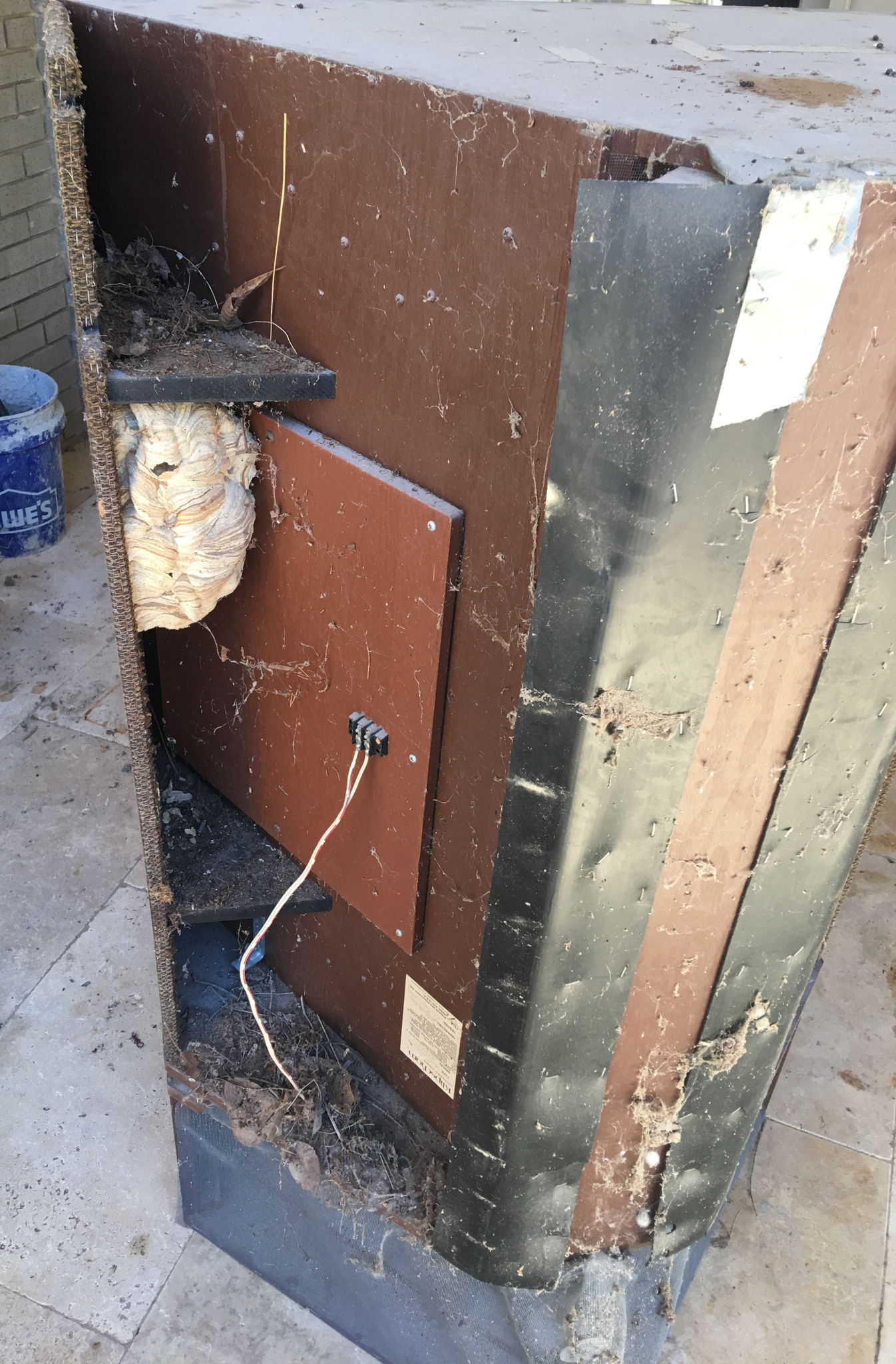Had the Khorns hanging outside under a 12 foot overhanging eave for 10 years.  Bird's nest and hornet's nest result.