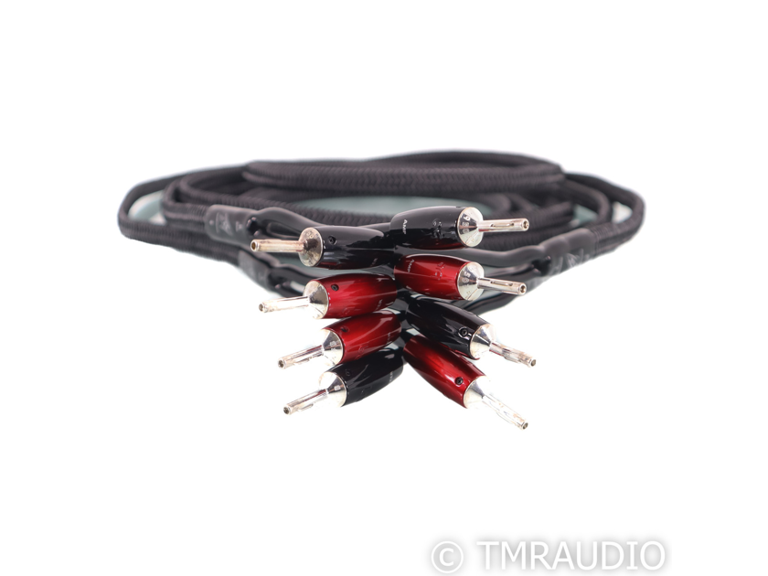 AudioQuest Rocket 44 Speaker Cables; 10ft Pair (63243)
