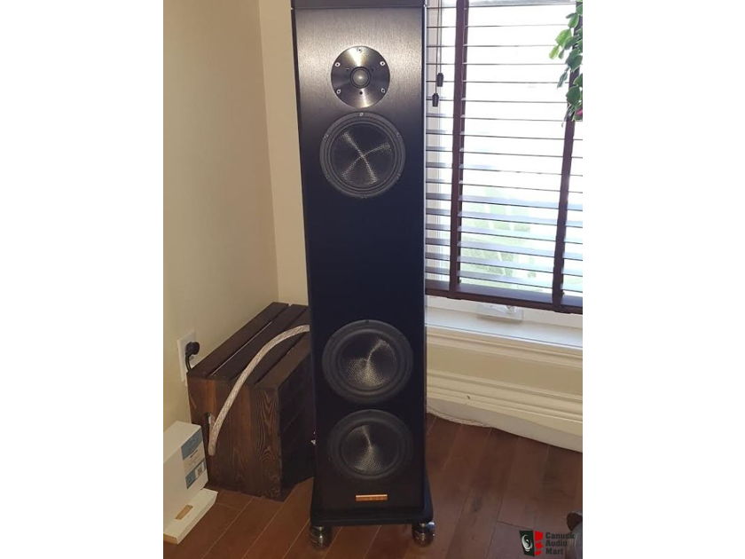 Magico A3 Floorstanding Speakers (Black): EXCELLENT Trade-In (ONLY 6 MONTHS OLD!): 33% Off