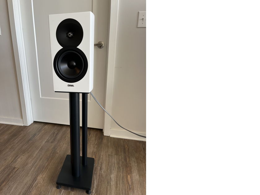 Revel best sale concerta m16