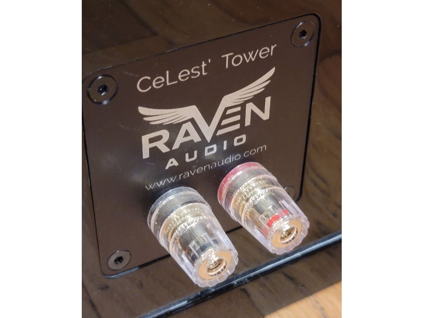 Raven Audio CeLest' Tower Speakers