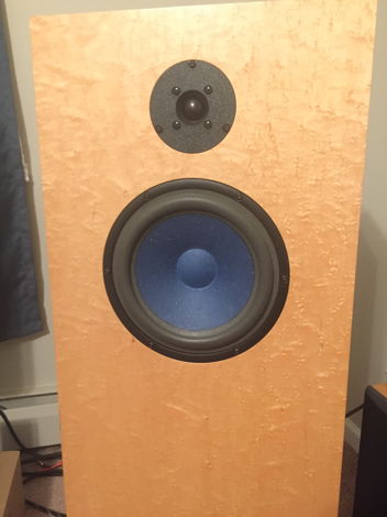 Audio Note AN-E/SPe HE Speakers