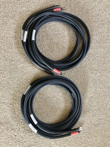 Echole Speaker Cables Passion,  10.5' length w/spades