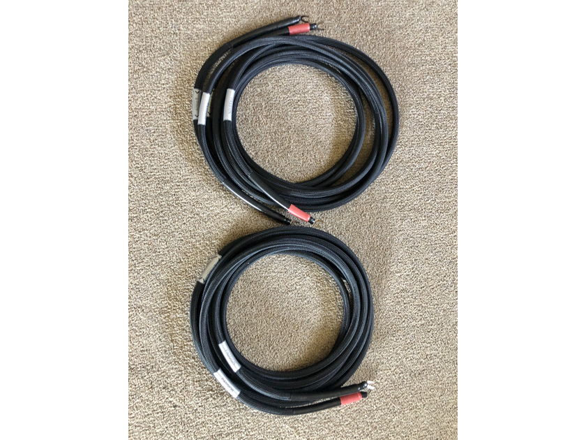 Echole Speaker Cables Passion,  10.5' length w/spades