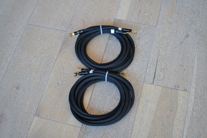 Silent Source Signature Silver Speaker Cable (Gold Head...