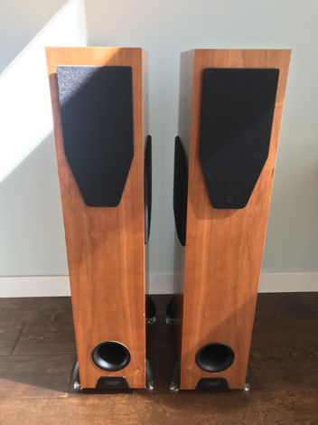 Rega RS5 3-Way Floor-standing Speakers