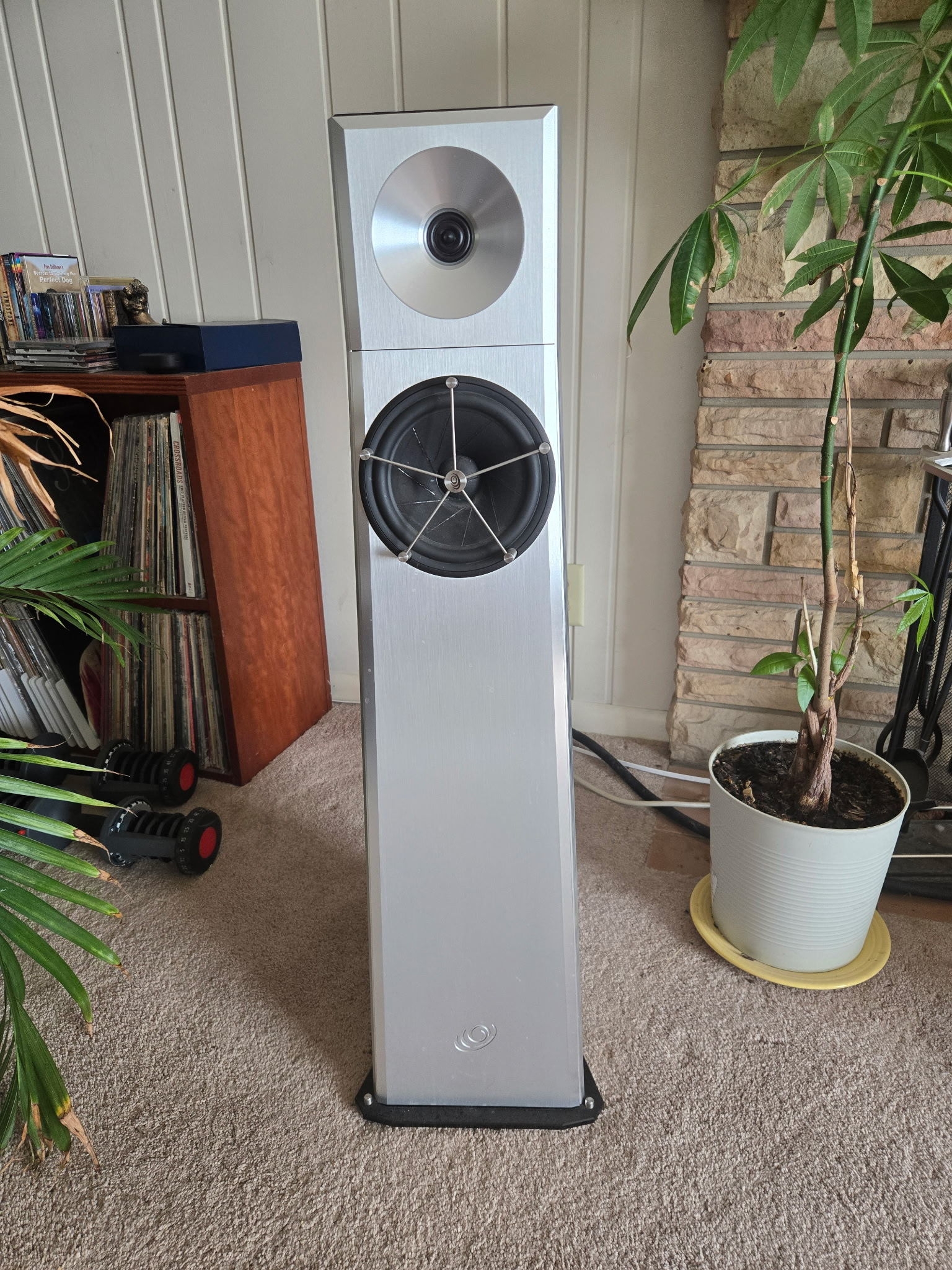 YG Acoustics Carmel 5