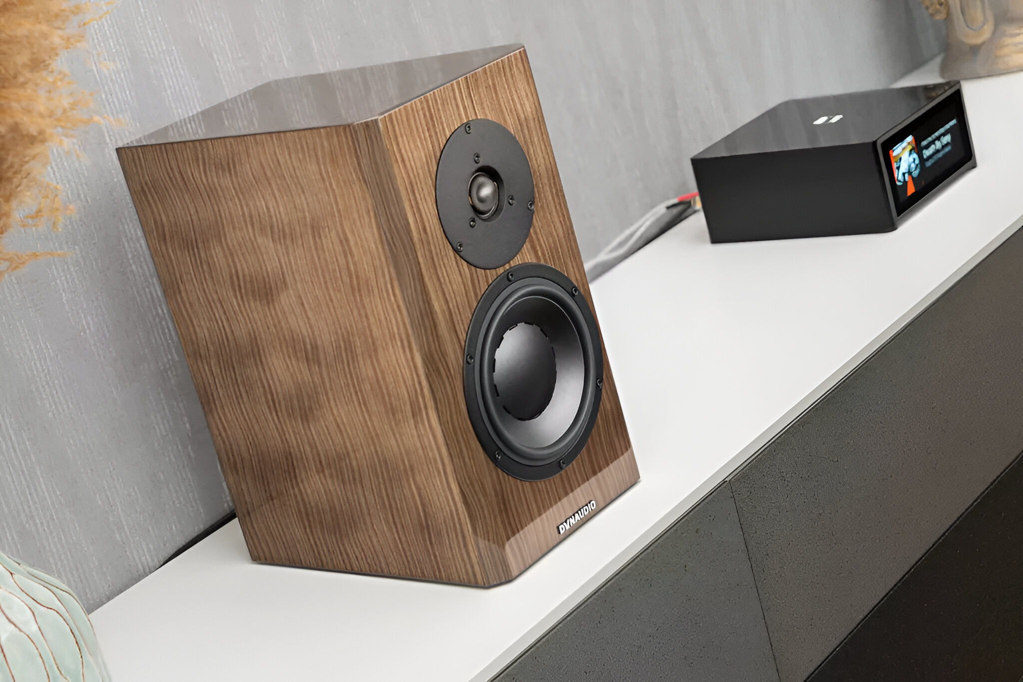 Dynaudio Special Forty Bookshelf Speakers - Ebony Wave,... 4