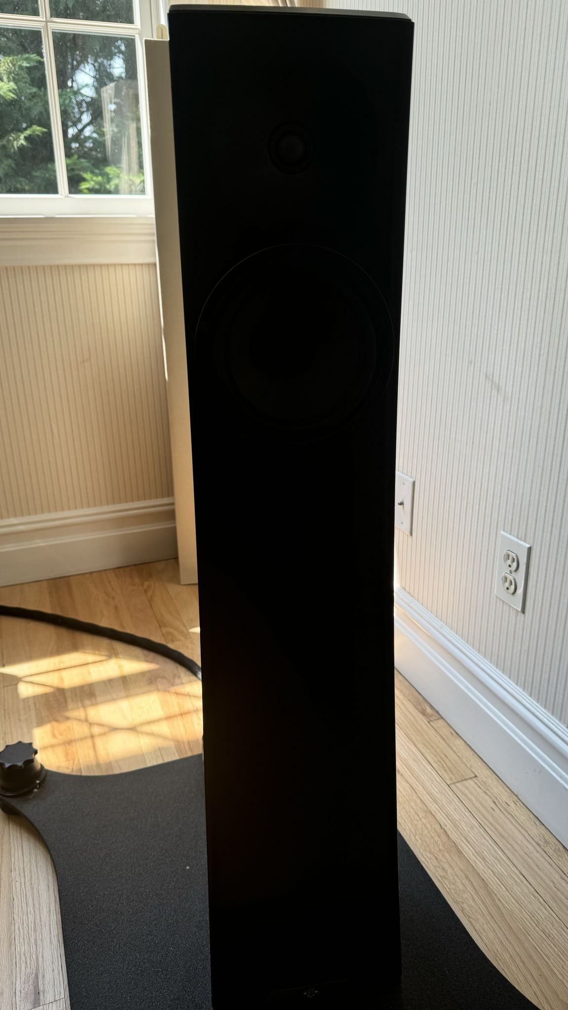 YG Acoustics Carmel 3: Brand New Mint; Skip the Line! W... 10