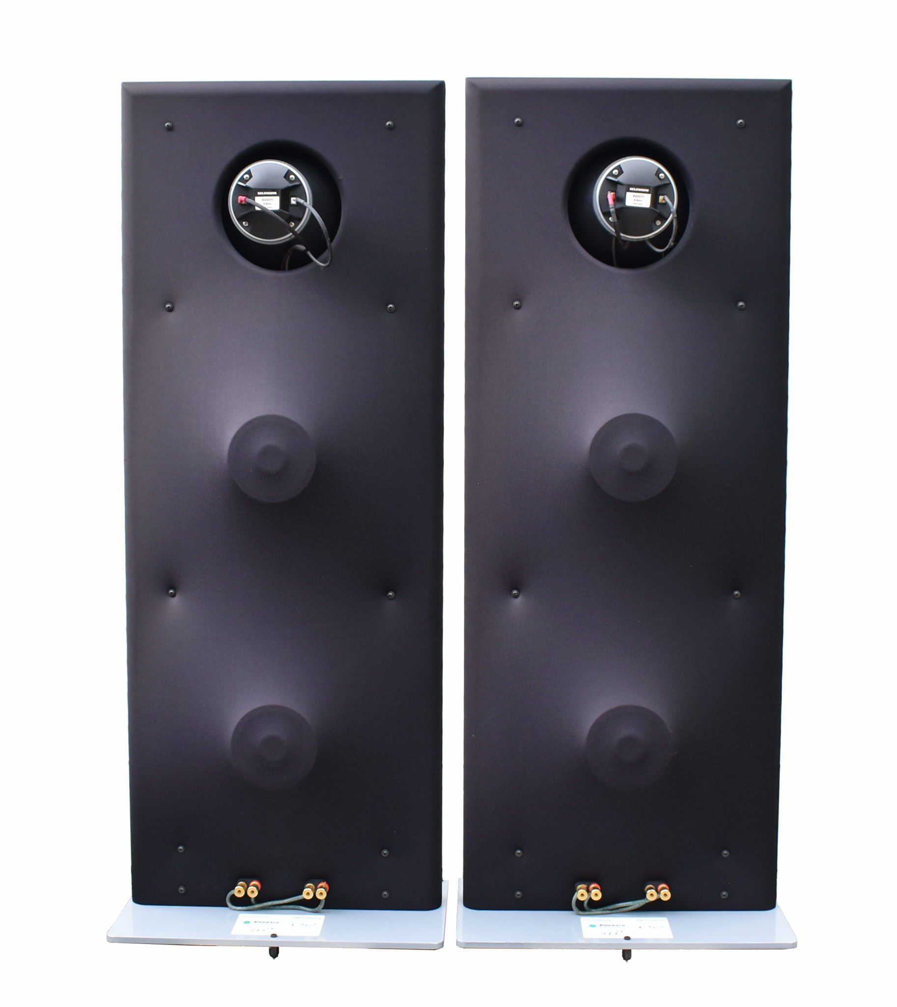 (2) Emerald Physics CS2 Controlled-Directivity Speakers... 12