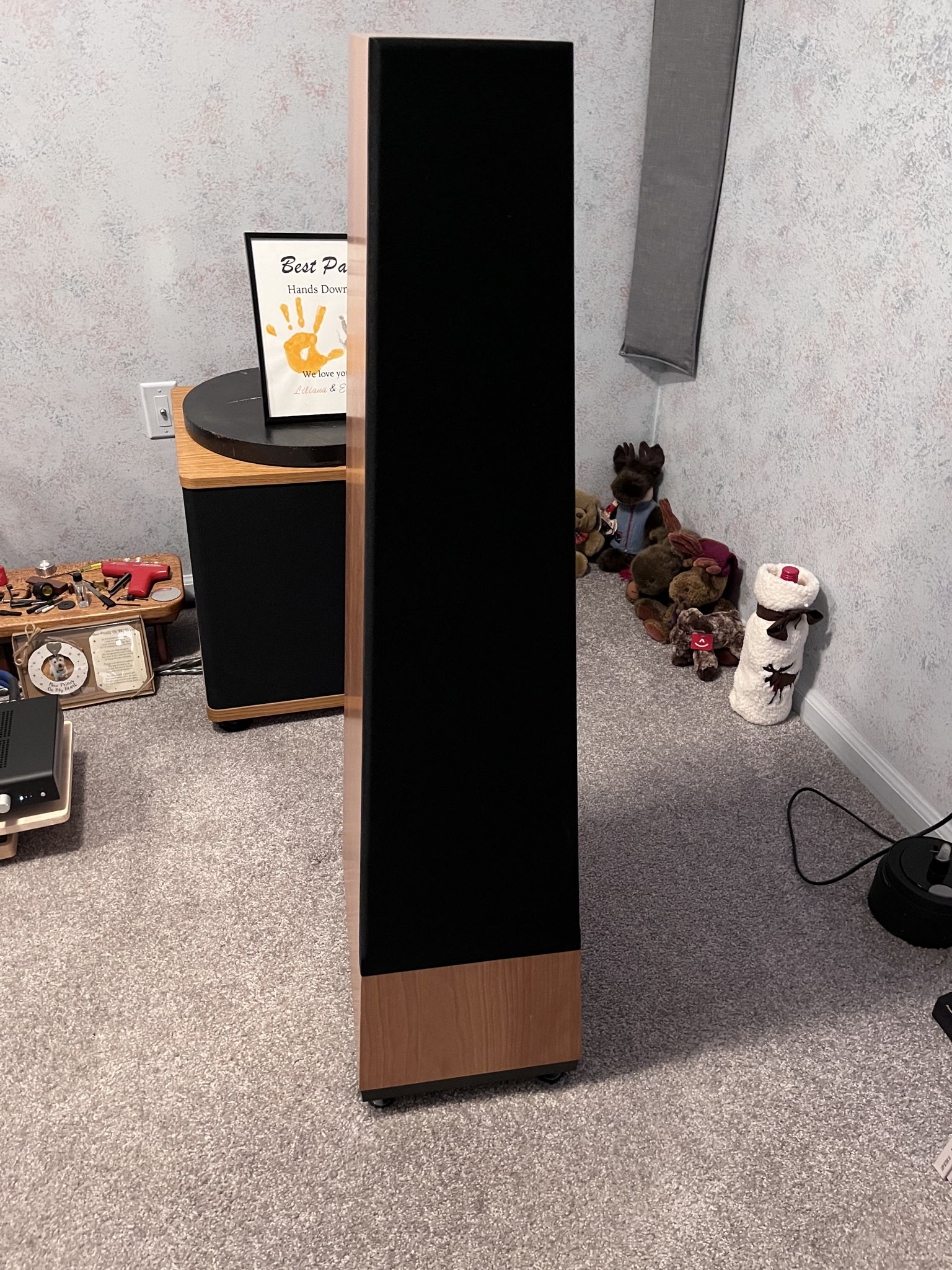 Vandersteen Treo CT with 2wq subwoofer