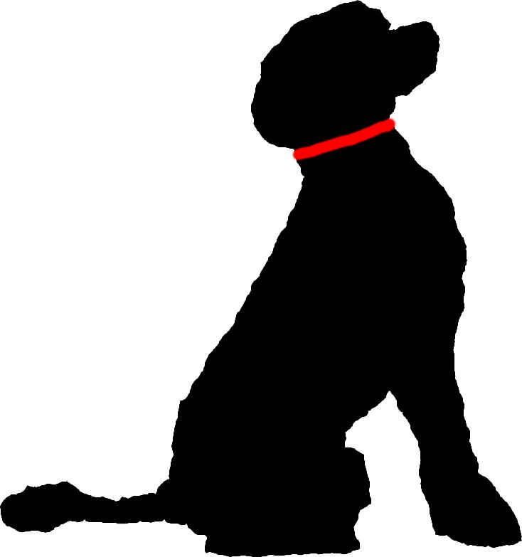 blackdoghifi's avatar
