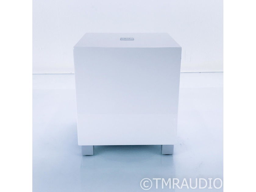 REL T5 8" Powered Subwoofer; Gloss White; T-5 (17343)