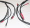Synergistic Research Tesla Accelerator Bi Wire Speaker ... 3