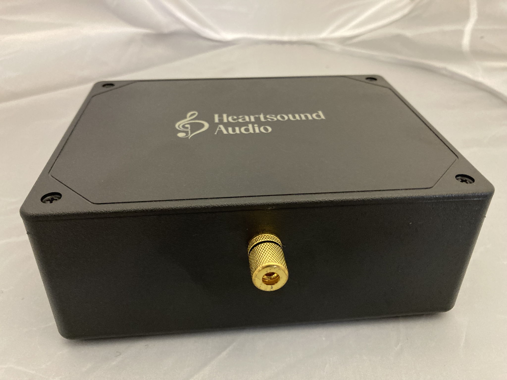 Heartsound Audio Grounding Box 13