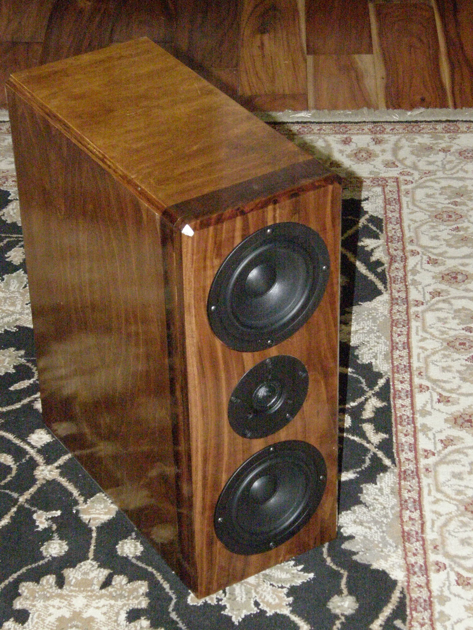 Latest speaker project