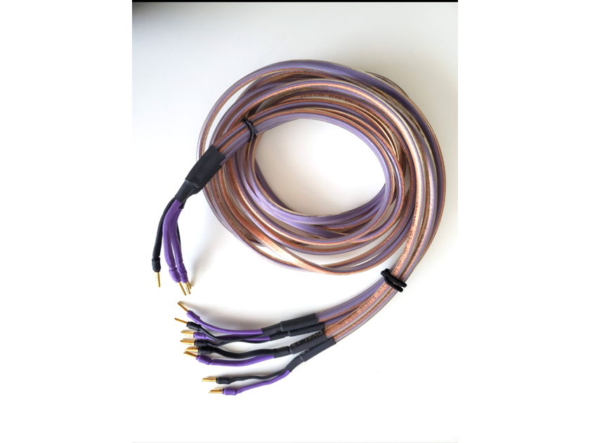 Analysis Plus Inc. Oval 12 Bi-Wire 6FT. Speaker Cables