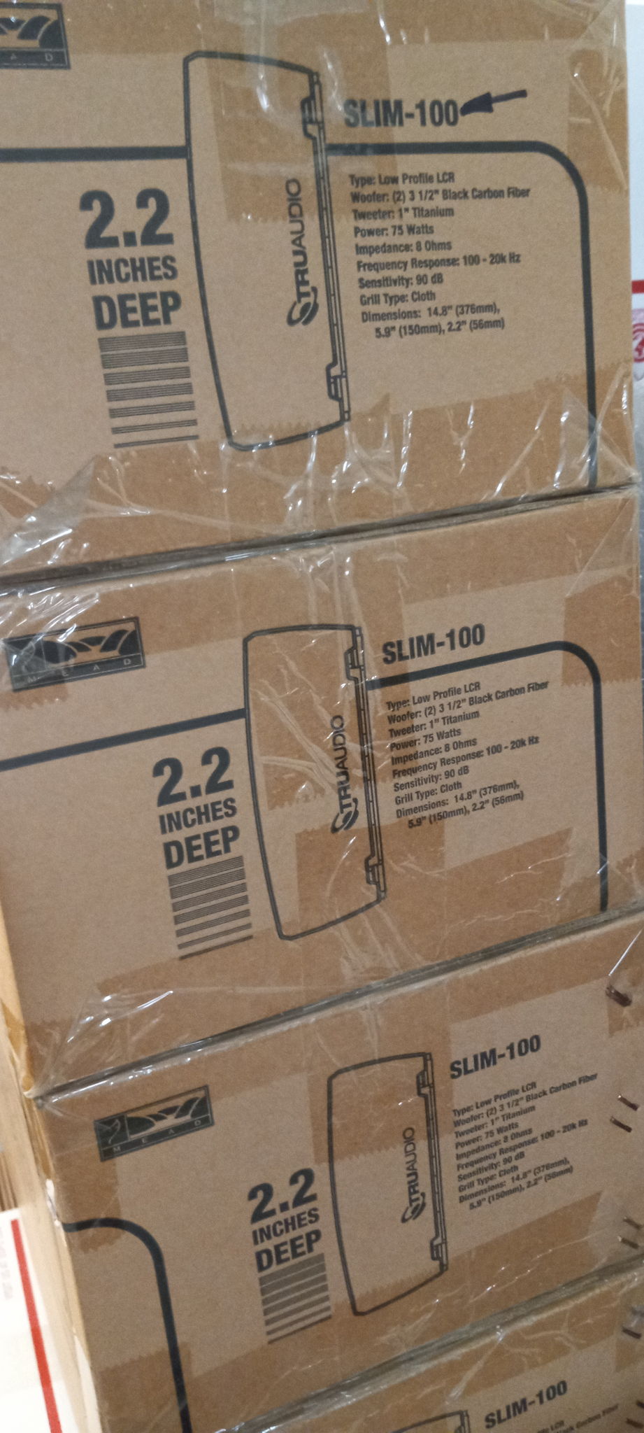 True Audio Slim-100 LCR Speakers $299 - PLEASE MAKE AN ... 6