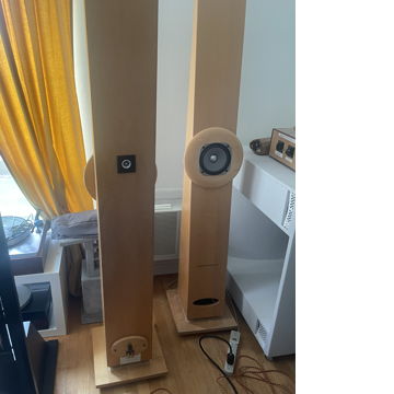 Cain & Cain  Super Abby