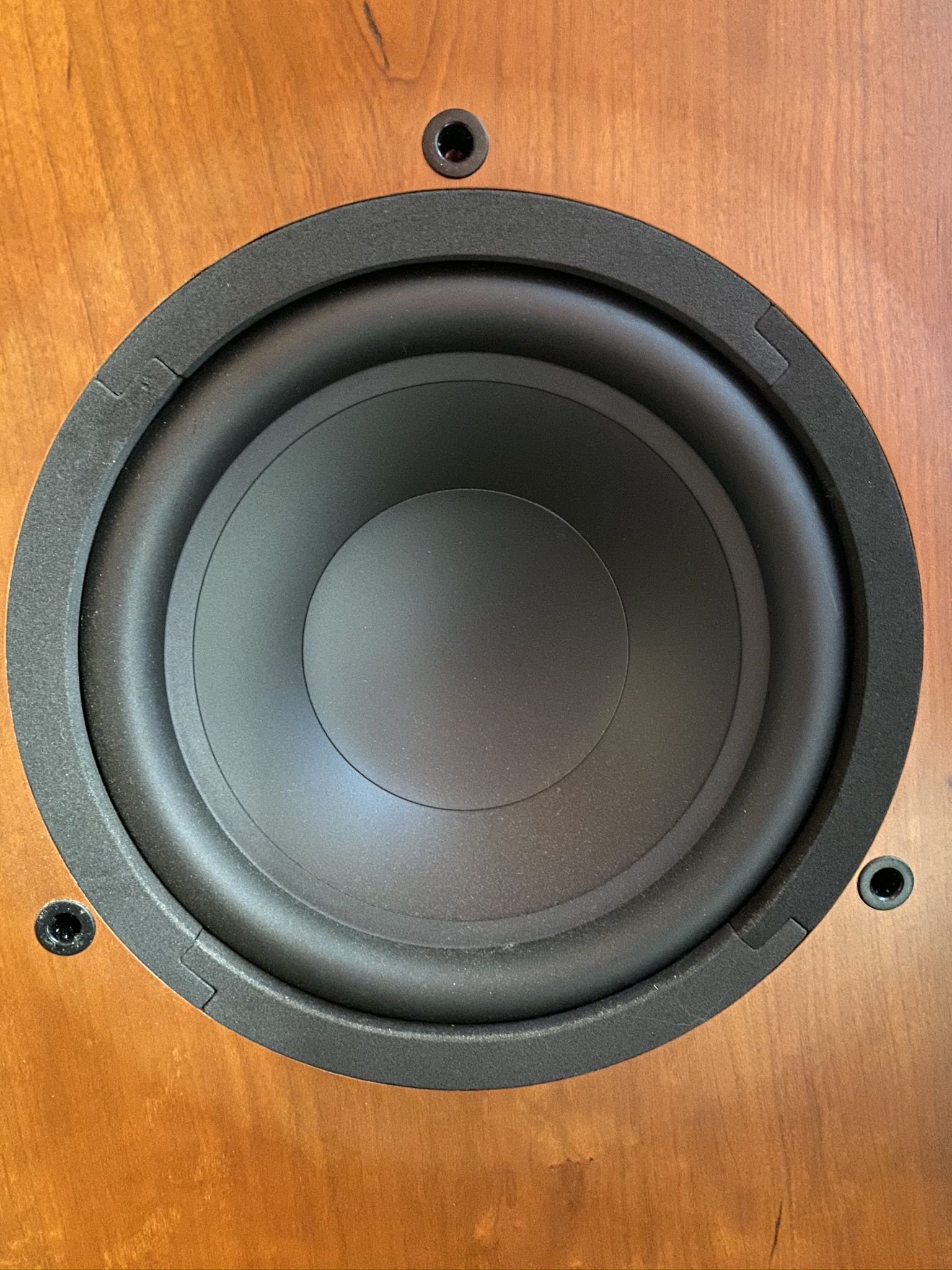 Close up of woofer