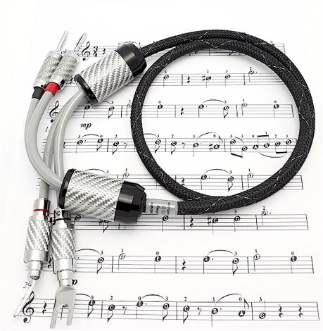 Triodecraft Symphony Speaker Cables. FREE Shipping. DEM...