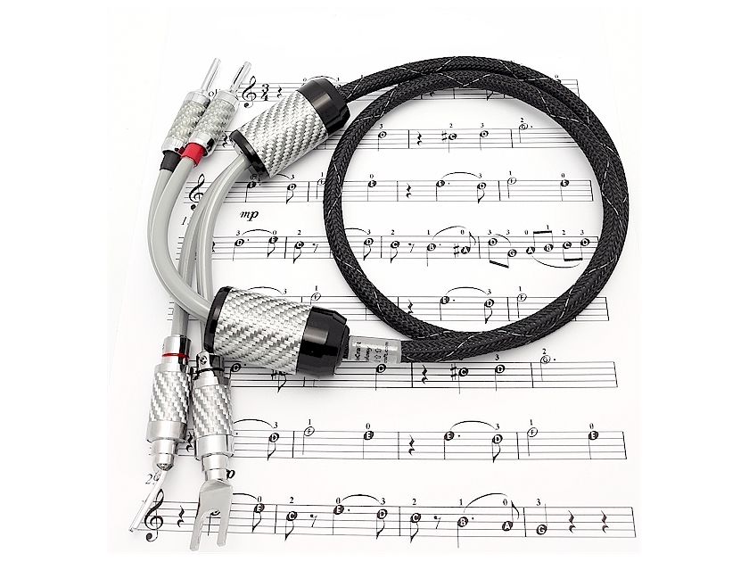 Triodecraft Symphony Speaker Cables. FREE Shipping. DEMO at 40% off!