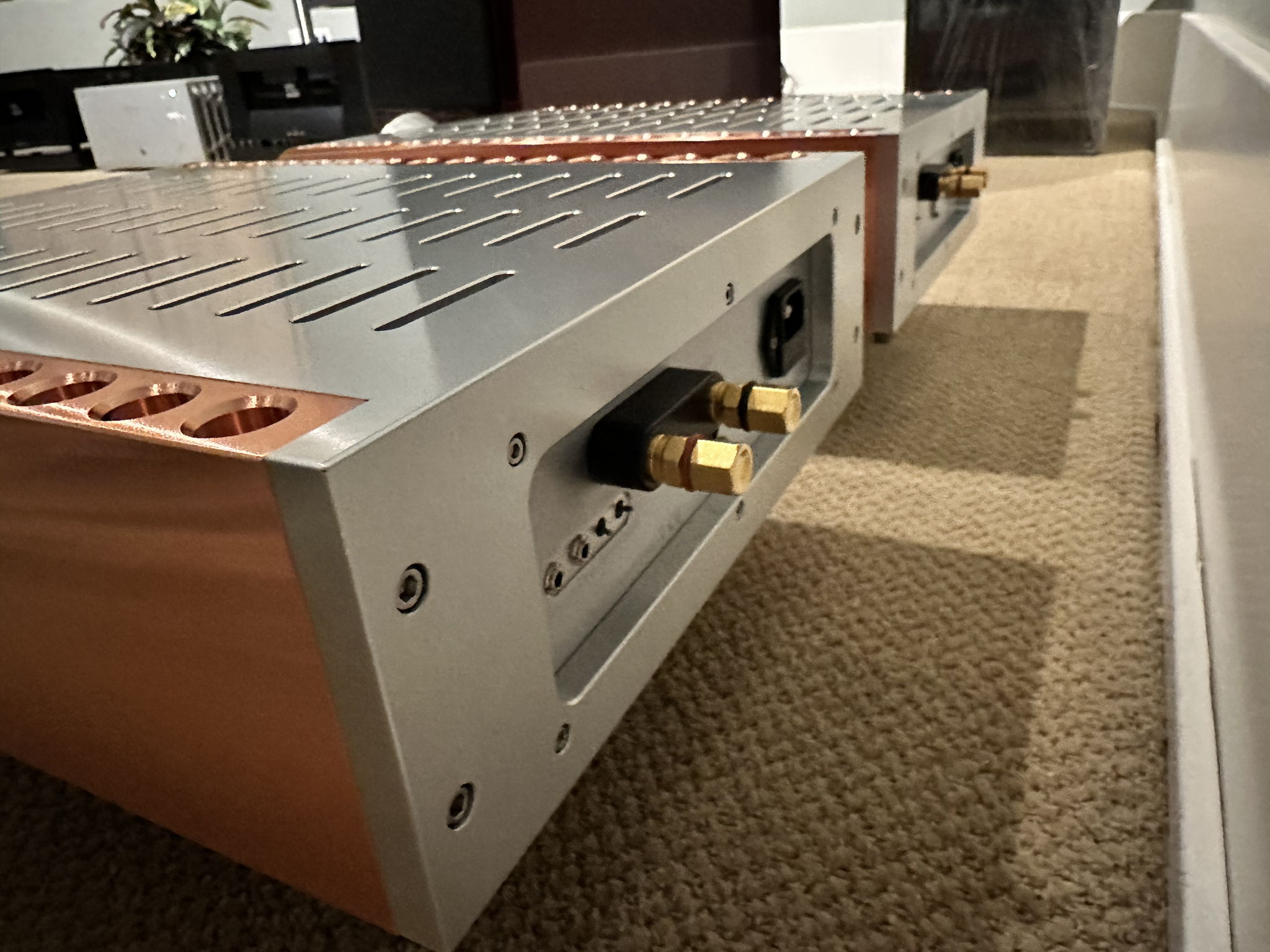 Dan D'Agostino Momentum M400 Mono Amplifiers 9