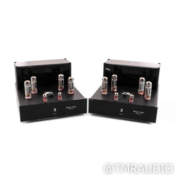 Black Ice Audio Fusion F100 Monoblock Tube Power Amplif...
