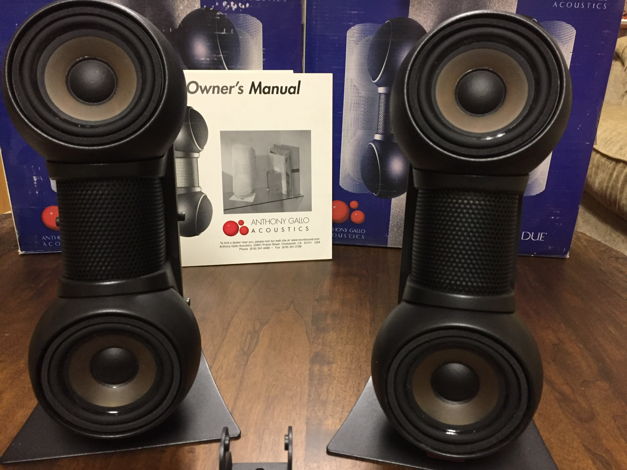 Gallo Acoustics Due Speaker pair
