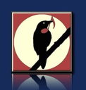 blackbird_audio's avatar