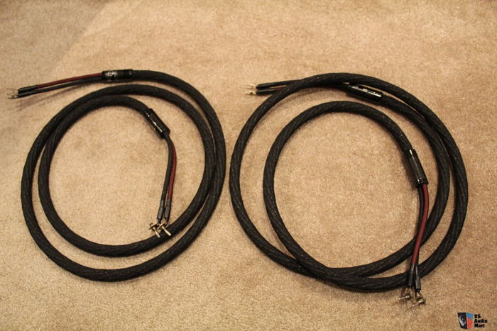 Stage III Concepts Magnus 2.5M Speaker Cables. Amazing