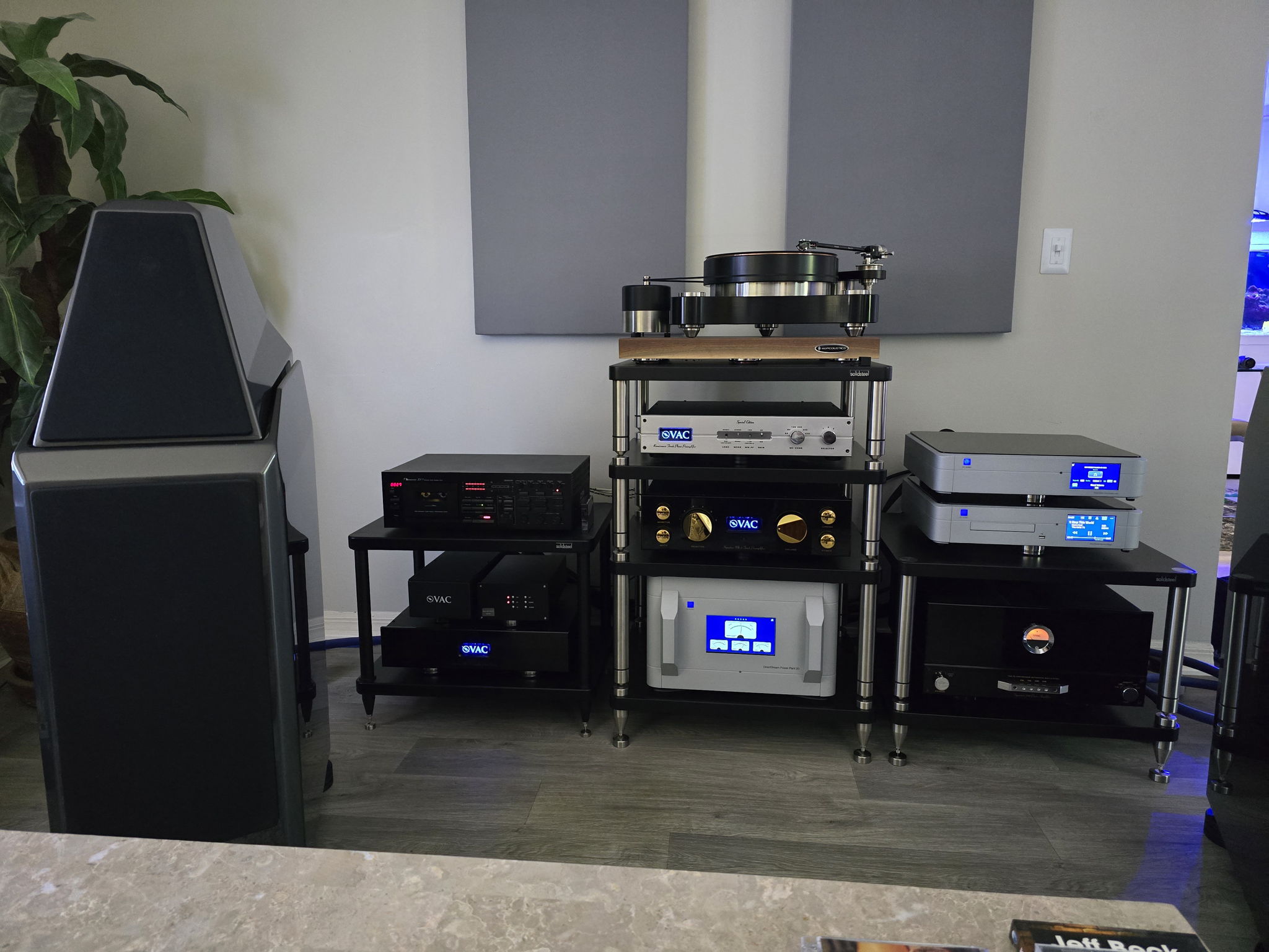 VAC Signature MkIIa Special Edition SE 10