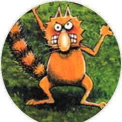 graystar's avatar