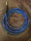 Sennheiser HD-650 w/Blue Dragon Cable 4