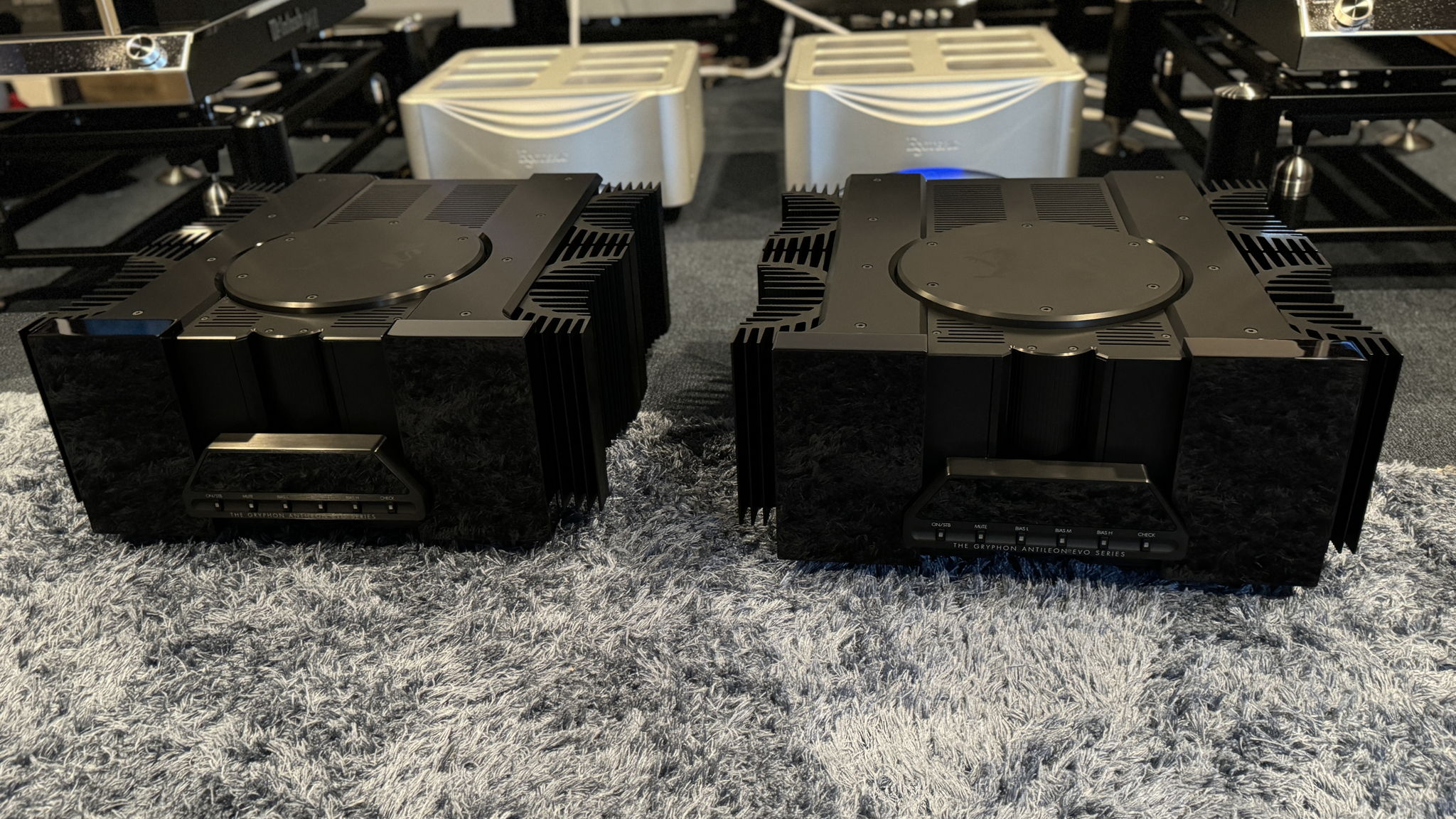 Gryphon Antileon Evo Monoblocks - First Time Ever Being... 8