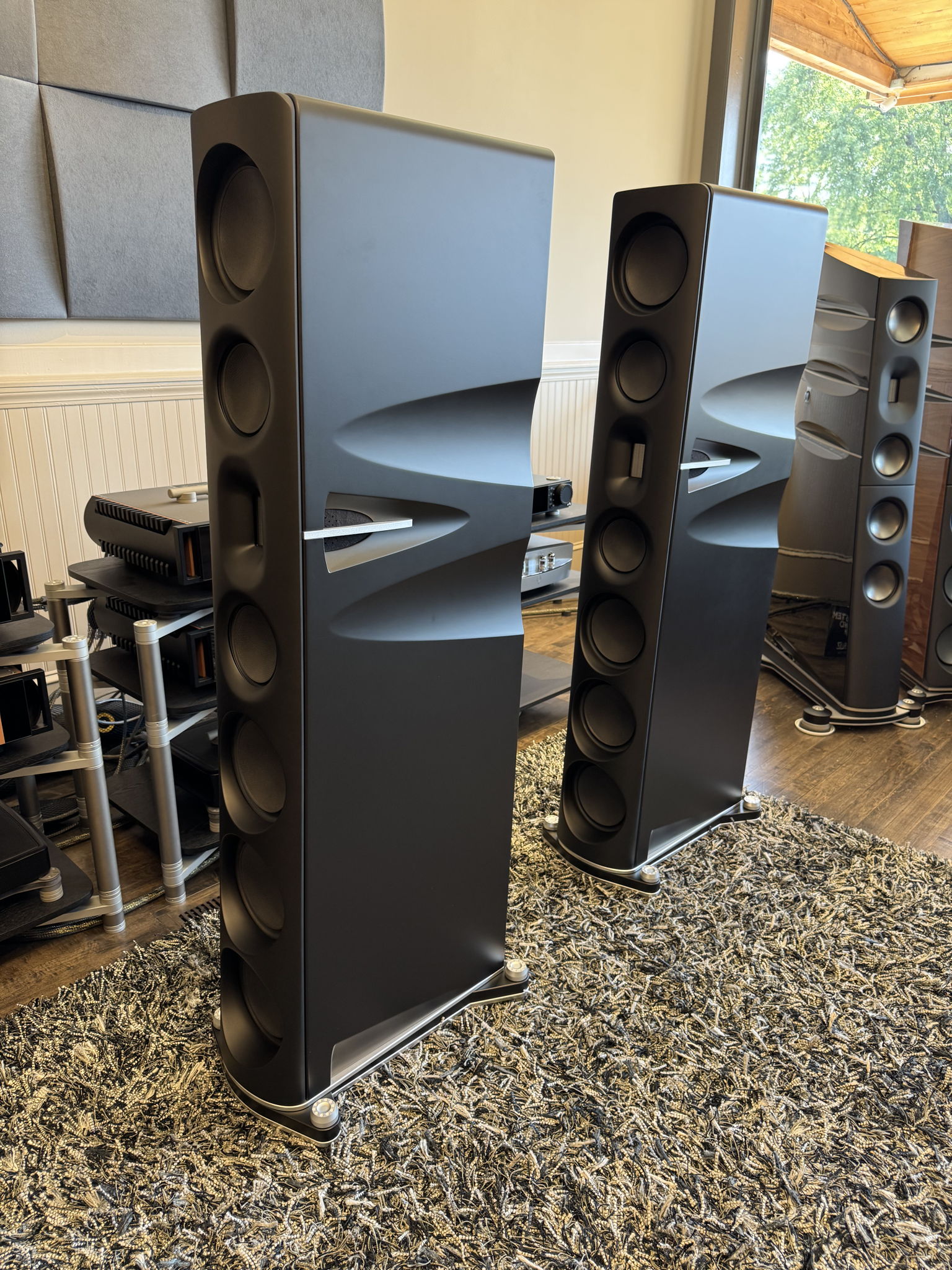 Borresen - Z5 Cryo - Black Satin Finish - Customer Trad... 8