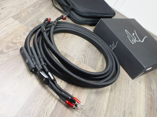 AudioQuest Wel Signature speaker cables 3,0 metre