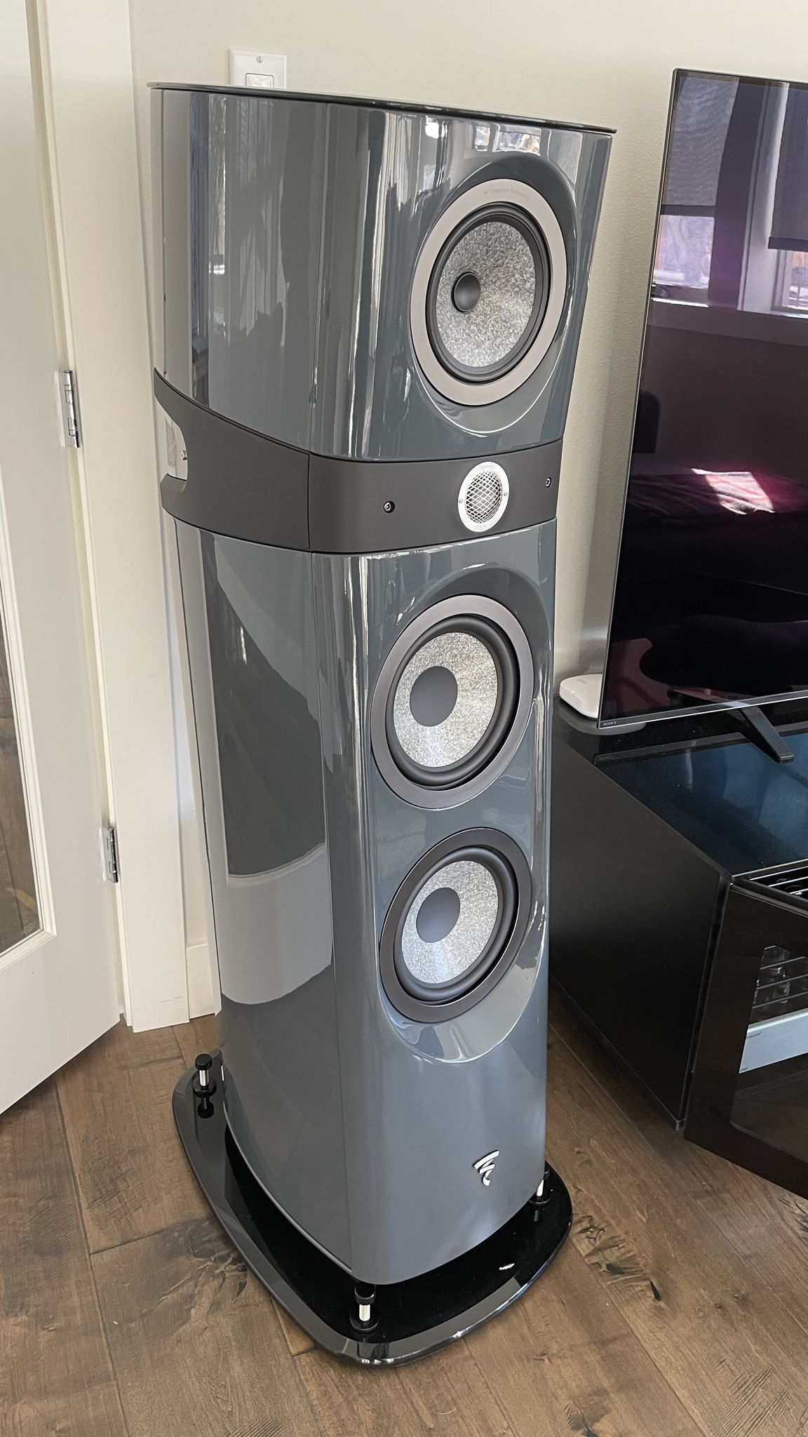 rj20five's PrimaLuna / HiFi Rose / Focal