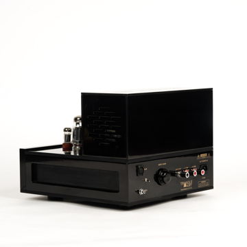TriangleART M-100 Reference Tube Monoblock