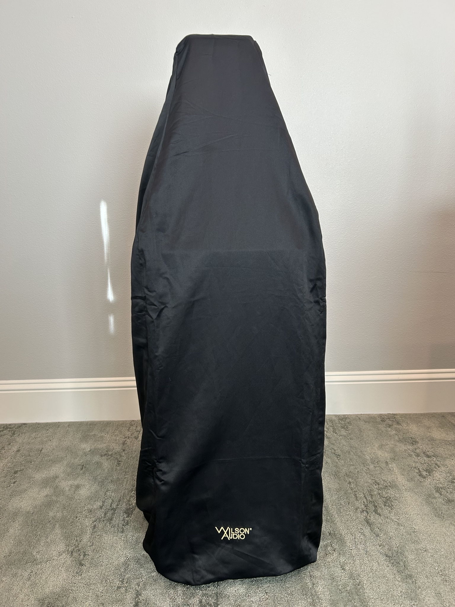 Wilson Audio Sasha 2 - Stunning! 4