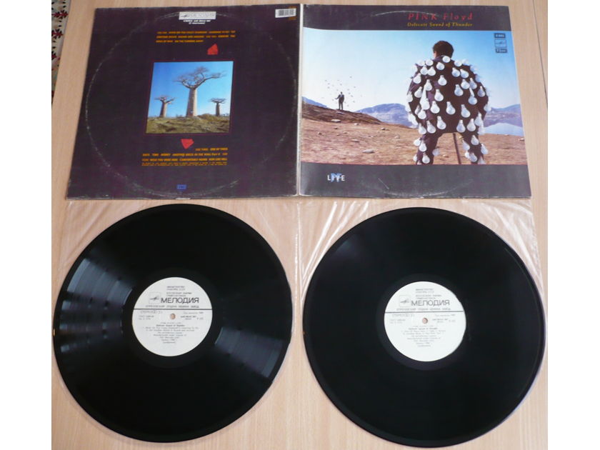 Pink Floyd. Pink Floyd Live. Delicate Sound Of Thunder. 1988. Melodiya, 1989. Russia, USSR. 2 LPs.